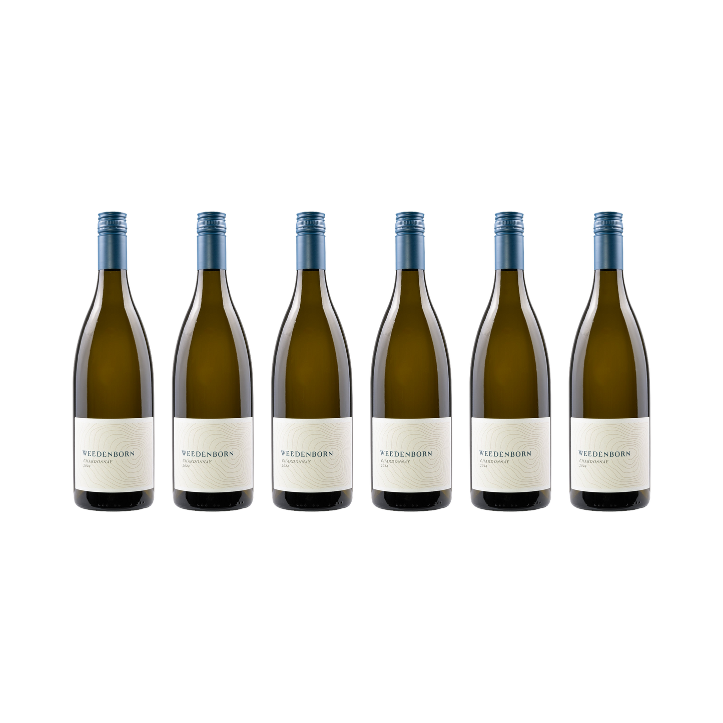 Chardonnay – 2024 — 6× 750 ml