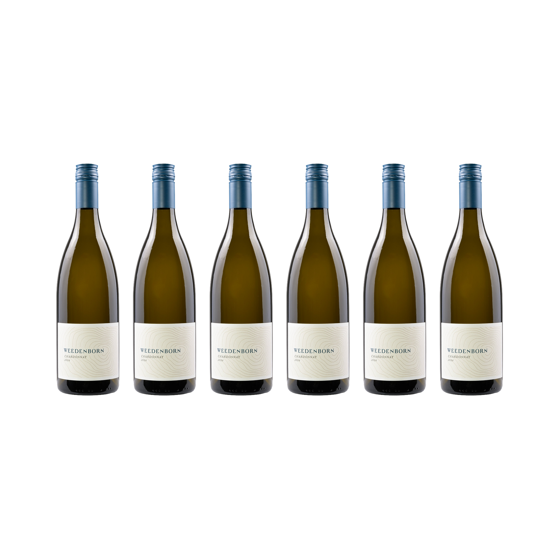 Chardonnay – 2024 — 6× 750 ml