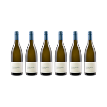 Chardonnay – 2024 — 6× 750 ml
