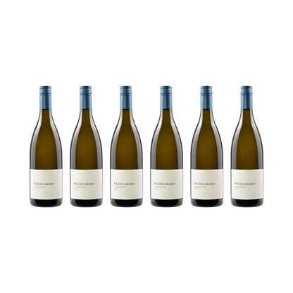 Chardonnay – 2024 — 6× 750 ml