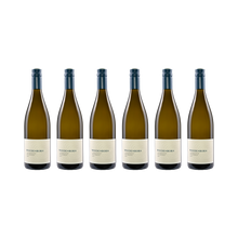Chardonnay Westhofen – 2021 — 6× 750 ml