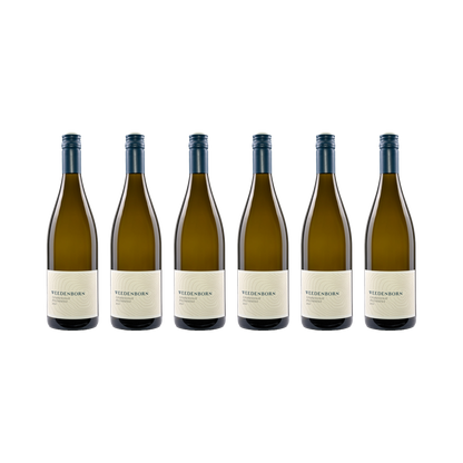 Chardonnay Westhofen – 2021 — 6× 750 ml