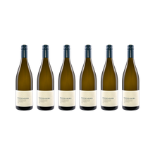 Weißburgunder vom Kalkmergel – 2021 — 6× 750 ml