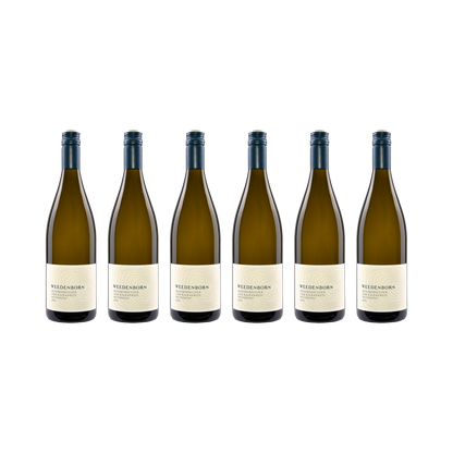 Weißburgunder vom Kalkmergel – 2021 — 6× 750 ml