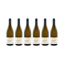 Sauvignon Blanc Terra Rossa – 2021 — 6× 750 ml