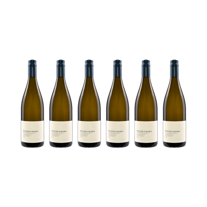 Sauvignon Blanc Terra Rossa – 2021 — 6× 750 ml