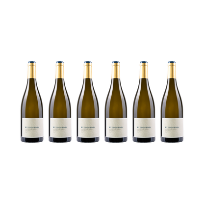 Sauvignon Blanc Reserve – 2021 — 6× 750 ml