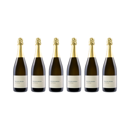 Chardonnay Brut Nature - 2016 — 6× 750 ml