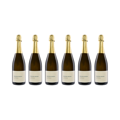 Chardonnay Sekt Brut Nature – 2017 — 6× 750 ml