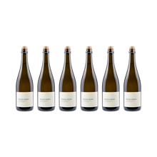 Sauvignon Blanc Brut Nature – 2021 — 6× 750 ml