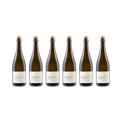 Sauvignon Blanc Brut Nature – 2021 — 6× 750 ml