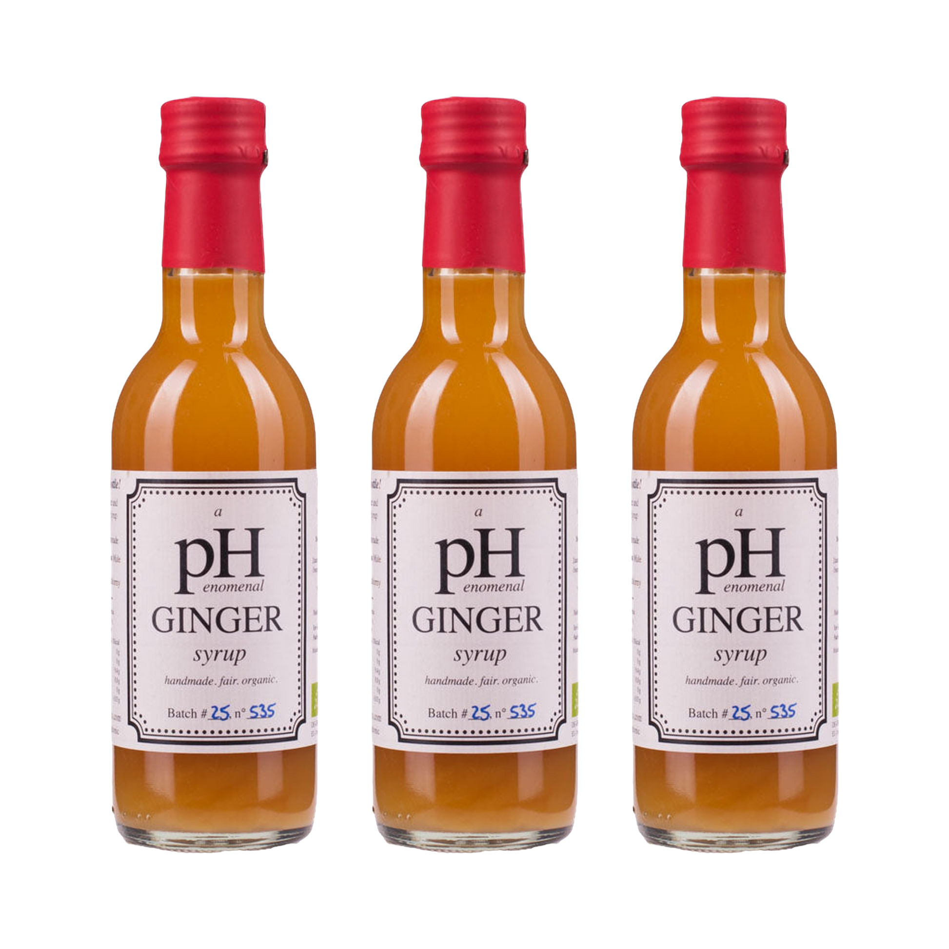 Ginger Syrup – 3× 250 ml Multiset
