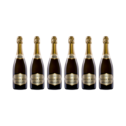 Blanc de Noirs Sekt – 2017 — 6× 750 ml