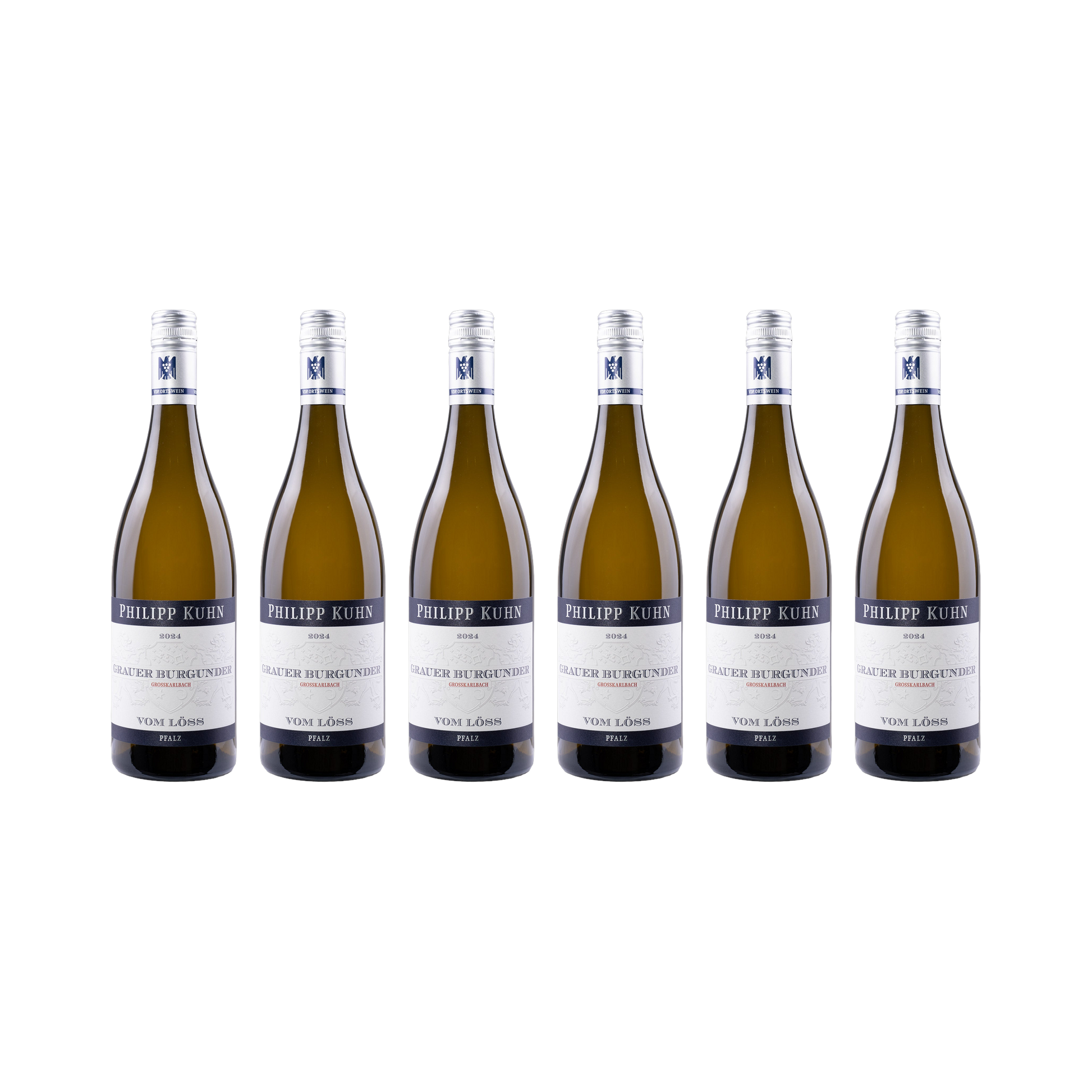 Grauer Burgunder vom Löss – 2024 — 6× 750 ml