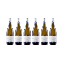 Grauer Burgunder vom Löss – 2024 — 6× 750 ml