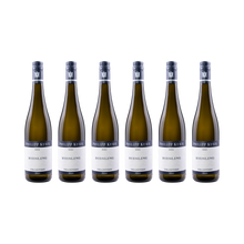 Riesling Tradition – 2024 — 6× 750 ml