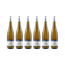 Riesling vom Kalksteinfels – 2022 — 6× 750 ml