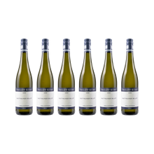 Sauvignon Blanc – 2023 — 6× 750 ml