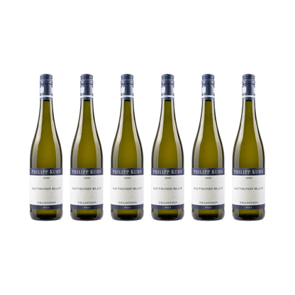 Sauvignon Blanc – 2023 — 6× 750 ml