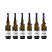 Sauvignon Blanc – 2024 — 6× 750 ml