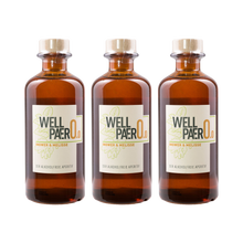 Wellpaero Ingwer Melisse – alkoholfrei — 3× 350 ml