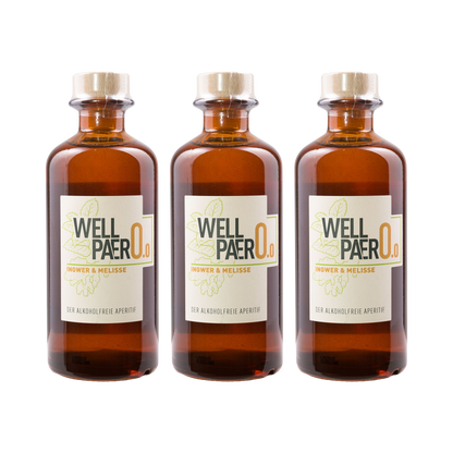 Wellpaero Ingwer Melisse – alkoholfrei — 3× 350 ml