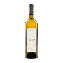 Sattlerhof  Sauvignon Blanc Kapellenweingarten  2021