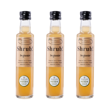 Shrub Ingwer Sirup — 3× 250 ml