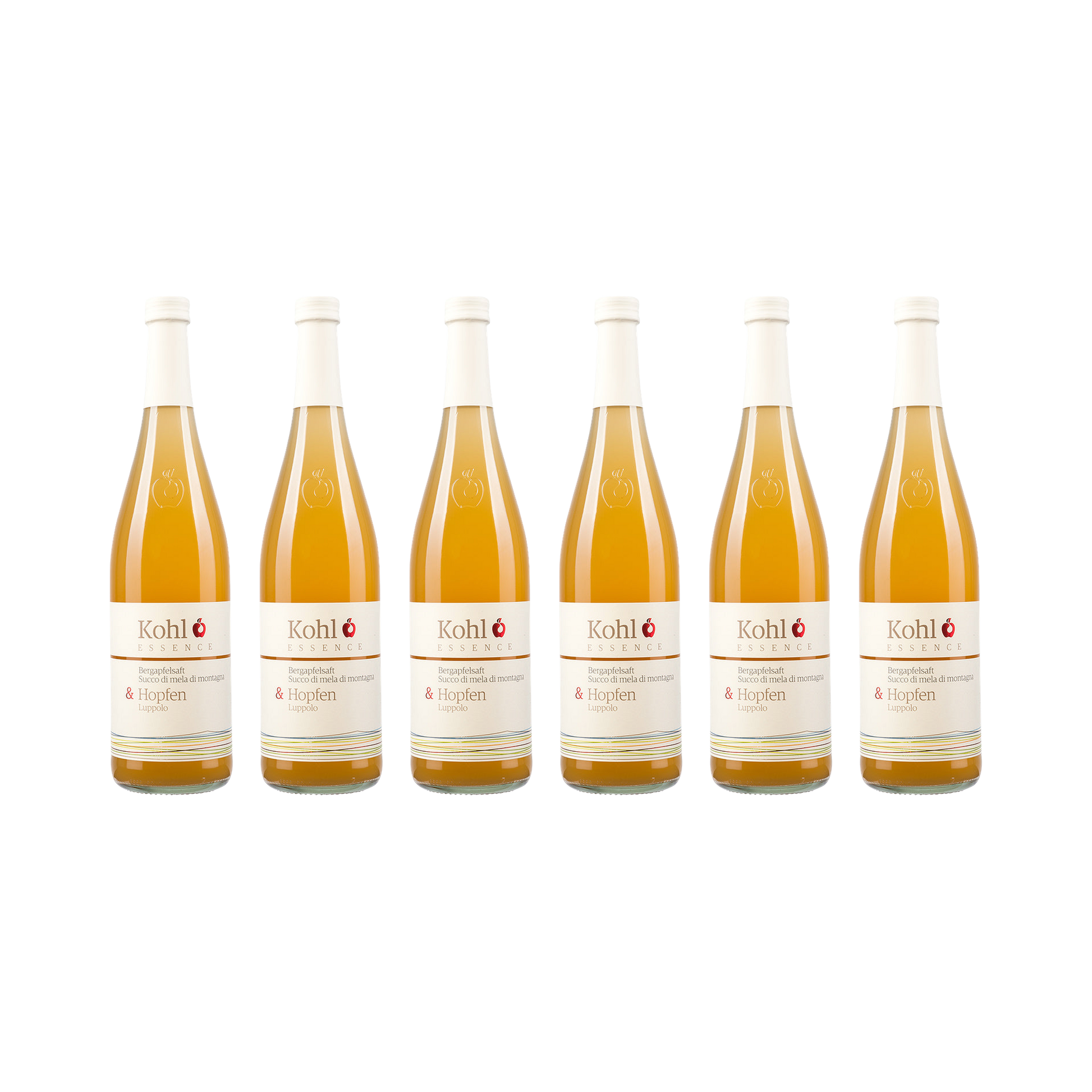 Apfelsaft mit Hopfen — 6× 750 ml