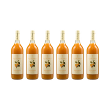 Aprikosen Nektar — 6× 750 ml
