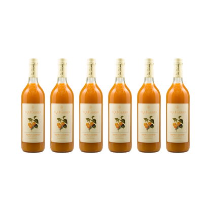 Aprikosen Nektar — 6× 750 ml