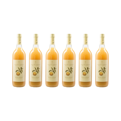 Weißer Pfirsich Nektar — 6× 750 ml