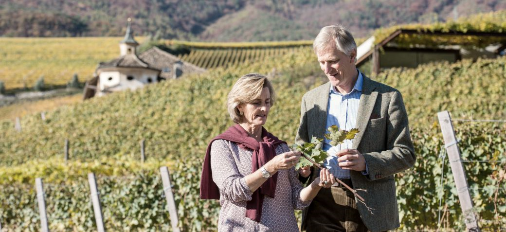 Weingut Manincor
