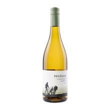 Weingut Pflüger Chardonnay Quarzit 2025