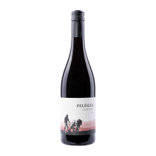 Weingut Pflüger Cuvée Noir 2024
