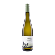 Pflüger Riesling Buntsandstein 2025