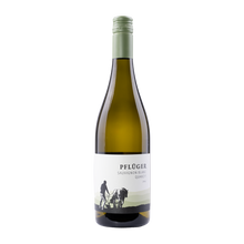Pflüger Sauvignon Blanc Quarzit 2025