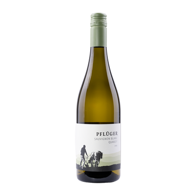 Sauvignon Blanc Quarzit – 2025