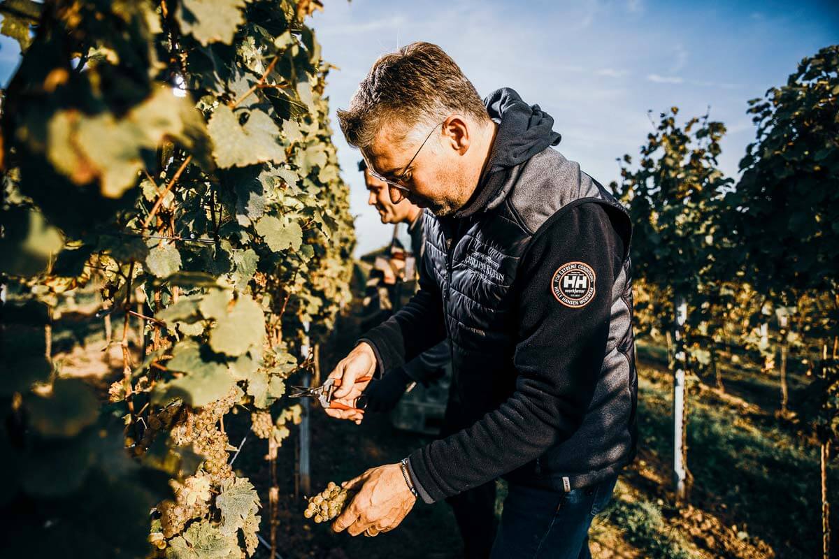 Weingut Philipp Kuhn