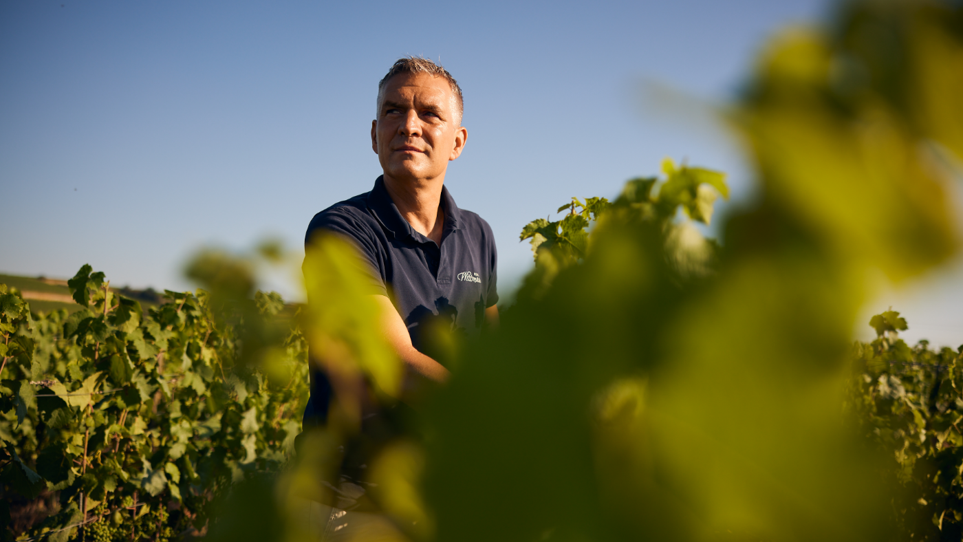 Weingut Wittmann