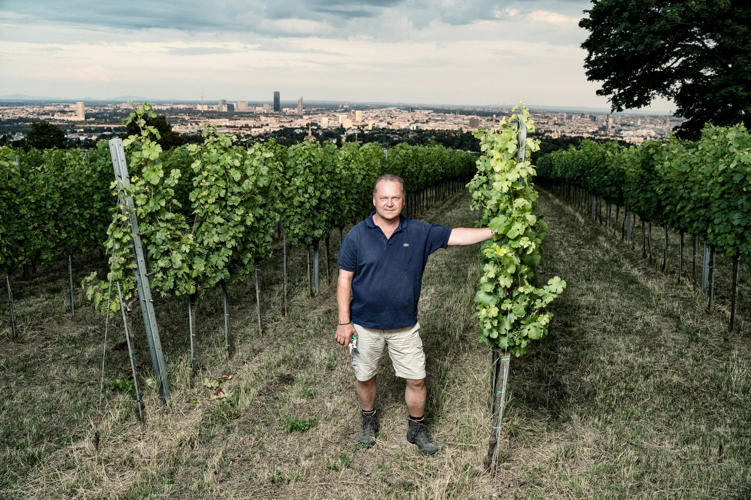 weingut-wieninger-1