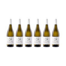 Sauvignon Blanc – 2025 — 6× 750 ml