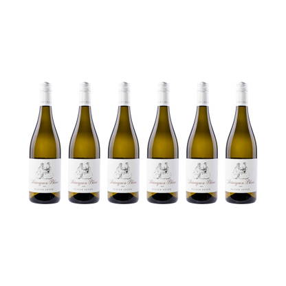 Sauvignon Blanc – 2025 — 6× 750 ml