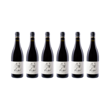 Oliver Zeter 6er-Set — Pinot Noir 2023