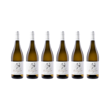 Grauburgunder – 2025 — 6× 750 ml