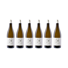 Oliver Zeter 6er-Set — Sauvignon Fume 2023