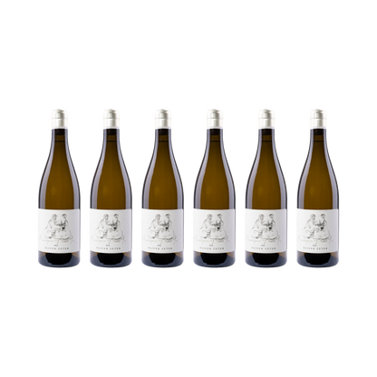 Oliver Zeter 6er-Set — Sauvignon Fume 2023