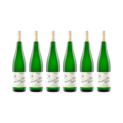 Sauvignon Blanc Kabinett – 2024 — 6× 750 ml