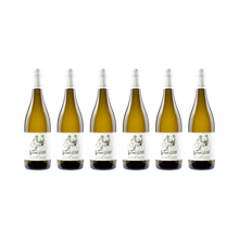 Weißburgunder – 2024 — 6× 750 ml