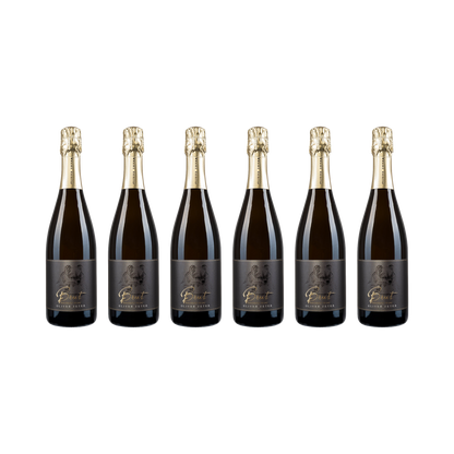 Sauvignon Blanc Sekt Brut — 6× 750 ml